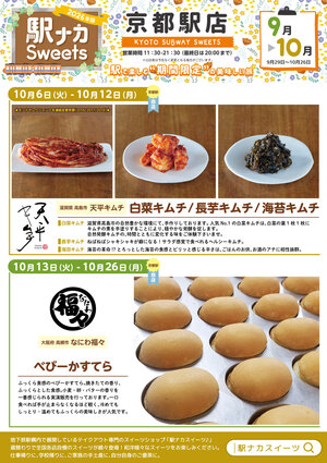 ekinaka_kyoto_ura260920.jpg