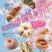 【志津屋コトチカ京都店・四条店・御池店・山科店】　春が来た!！